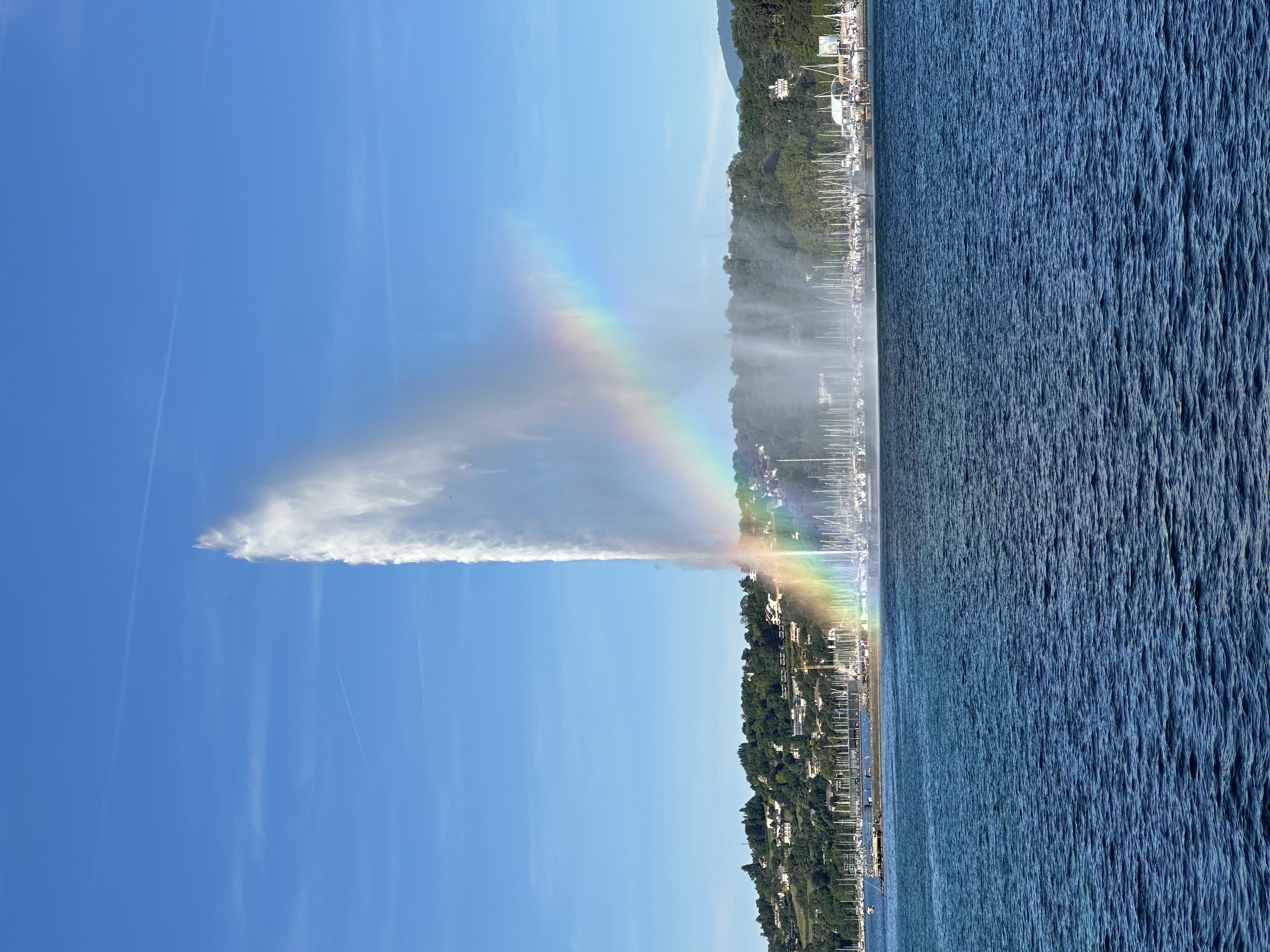 Parcours du Dr Messaoudi